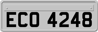 ECO4248