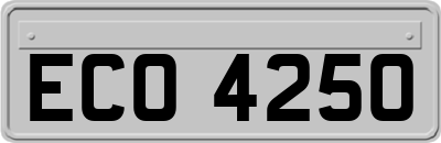 ECO4250