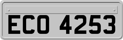 ECO4253
