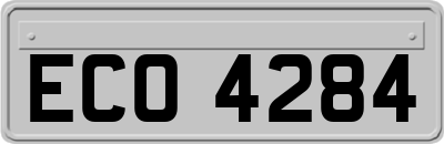 ECO4284