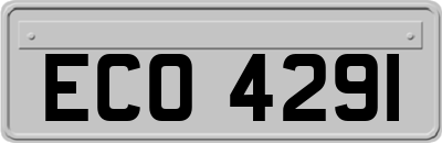 ECO4291