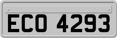 ECO4293
