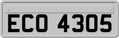 ECO4305