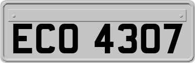 ECO4307