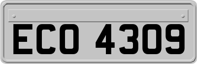 ECO4309