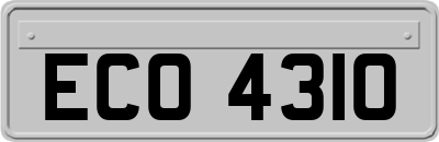ECO4310
