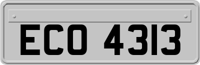 ECO4313