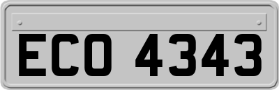 ECO4343
