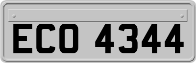 ECO4344