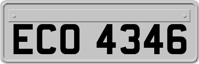 ECO4346