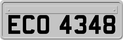 ECO4348