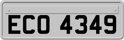 ECO4349