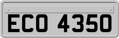 ECO4350