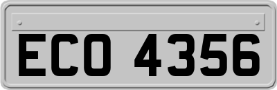 ECO4356