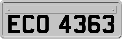 ECO4363