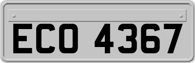 ECO4367
