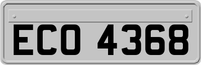 ECO4368