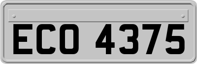 ECO4375
