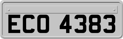 ECO4383