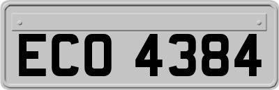 ECO4384