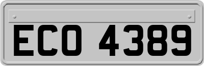 ECO4389