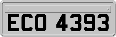 ECO4393