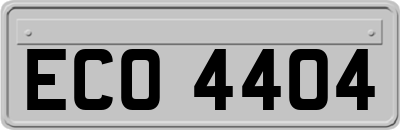 ECO4404