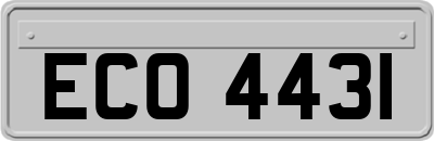 ECO4431