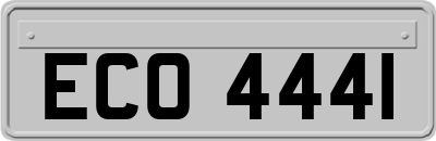 ECO4441