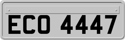 ECO4447