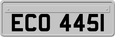 ECO4451