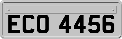 ECO4456