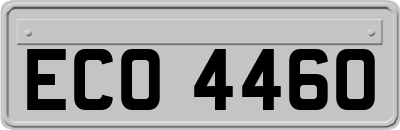 ECO4460