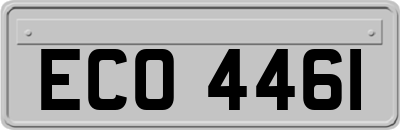 ECO4461