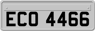 ECO4466