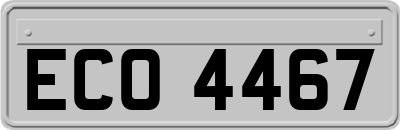 ECO4467
