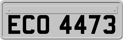 ECO4473