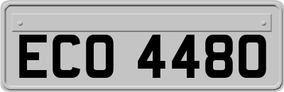ECO4480