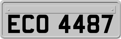 ECO4487