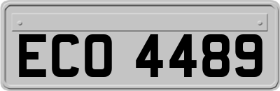 ECO4489
