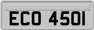 ECO4501