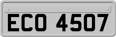 ECO4507
