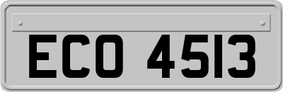 ECO4513