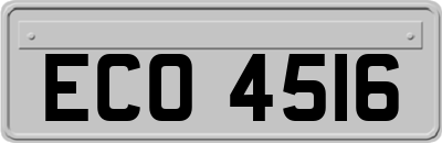 ECO4516