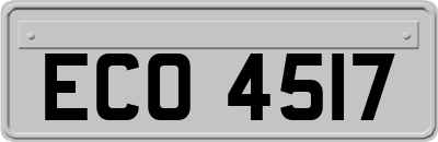 ECO4517