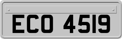 ECO4519