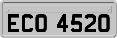 ECO4520