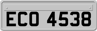 ECO4538