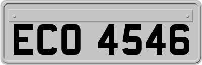 ECO4546