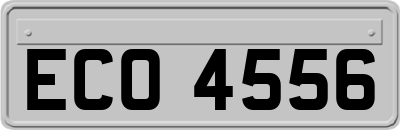 ECO4556
